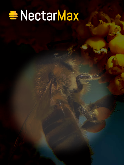 Screenshot_80
